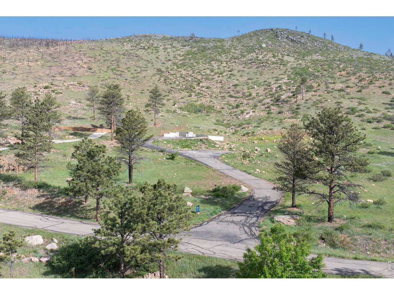 3029 Foothills Ranch Drive Boulder, CO 80302 - Photo 15 of 19 a view of a with large trees