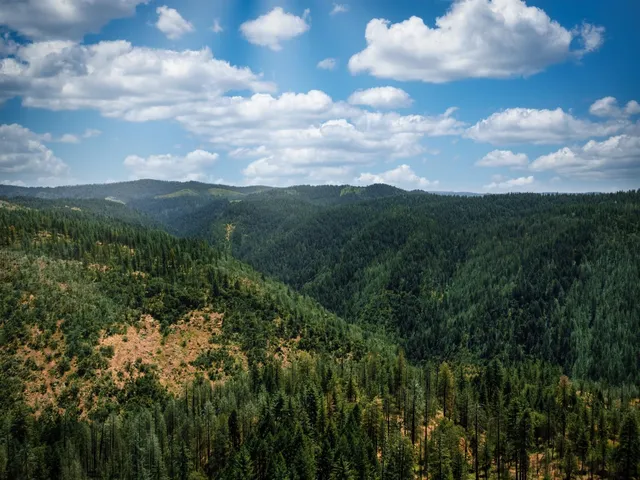 a view of a city and mountains
