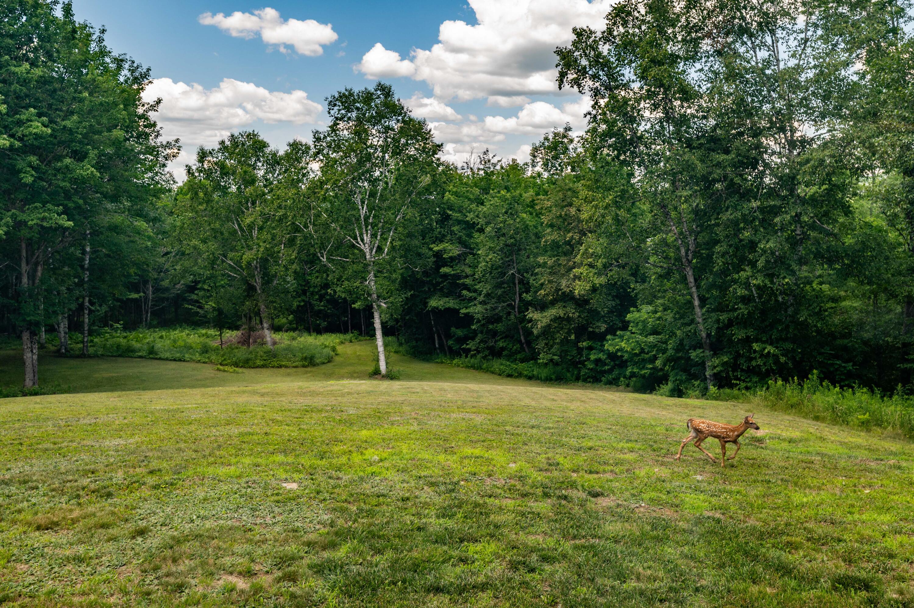 49 Blanchard Road Monson, ME 04464 - Photo 49 of 53 Blanchard Rd-54