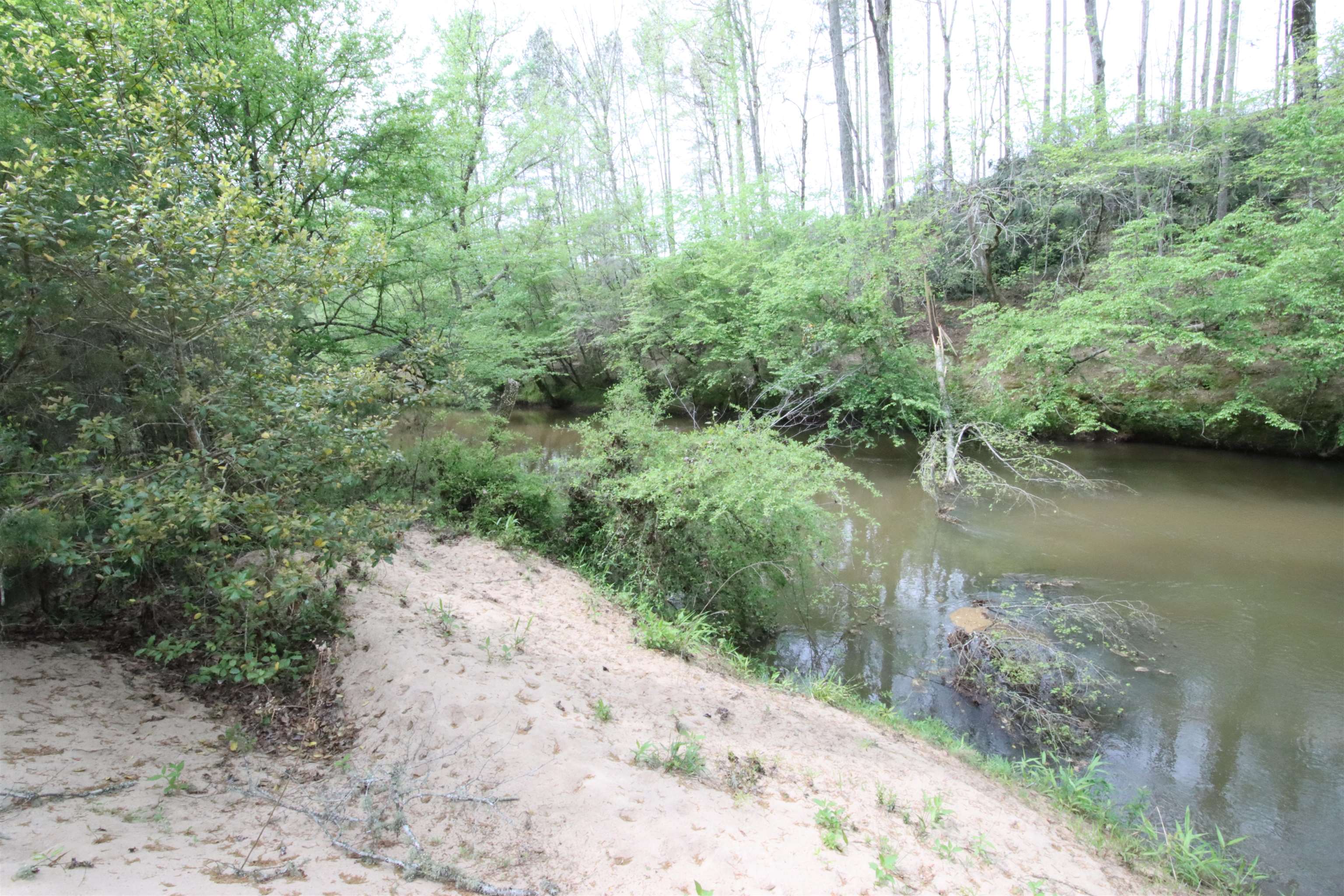 0 Morris Bridge Road Roebuck, SC 29376 - Photo 29 of 39