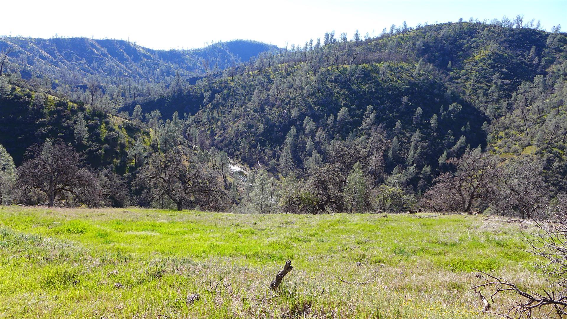 Lot 229 Yolla Bolly Road Igo, CA 96047 - Photo 62 of 66 P1070282