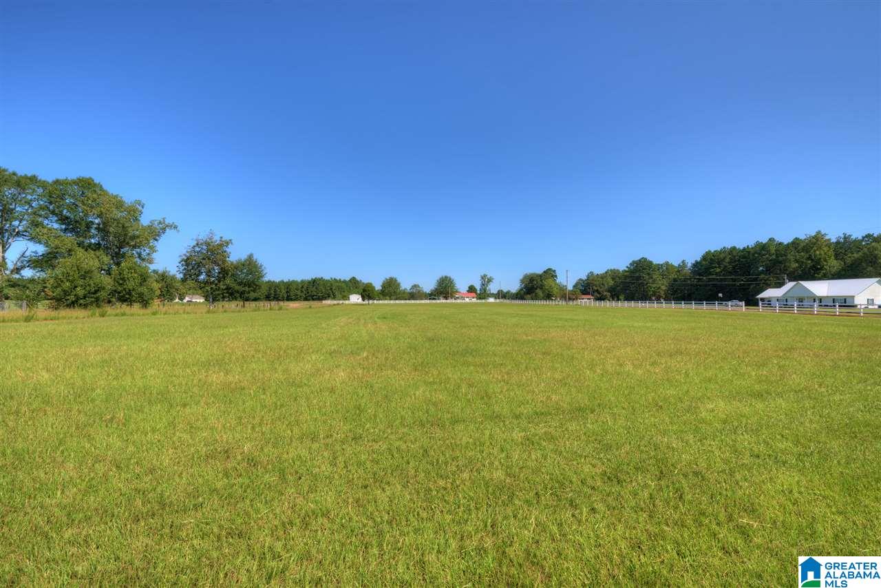1608 Langston Road Carbon Hill, AL 35549 - Photo 12 of 34 Gallery Image 12