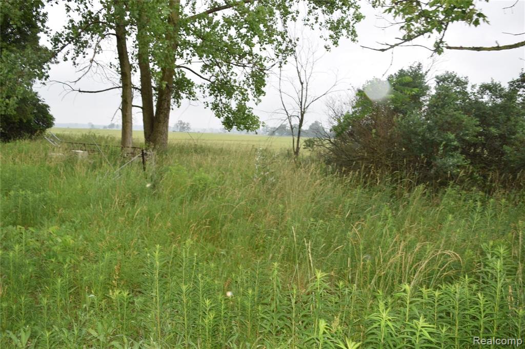 2179 Decker Road Decker, MI 48426 - Photo 20 of 28