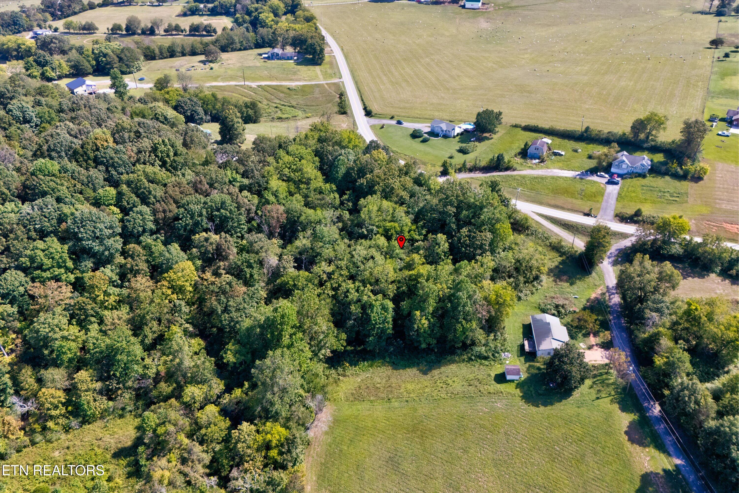 321 Hendricks Loop Madisonville, TN 37354 - Photo 9 of 20 13-321 Hendricks Loop-13