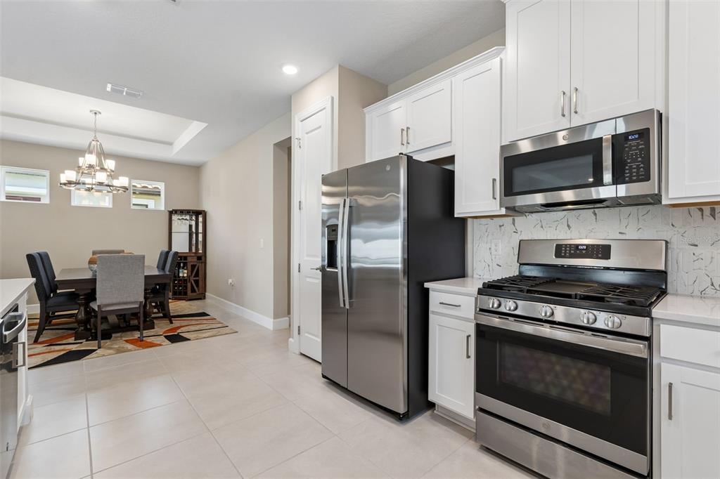 4647 Garofalo Road Wesley Chapel, FL 33543 - Photo 6 of 92