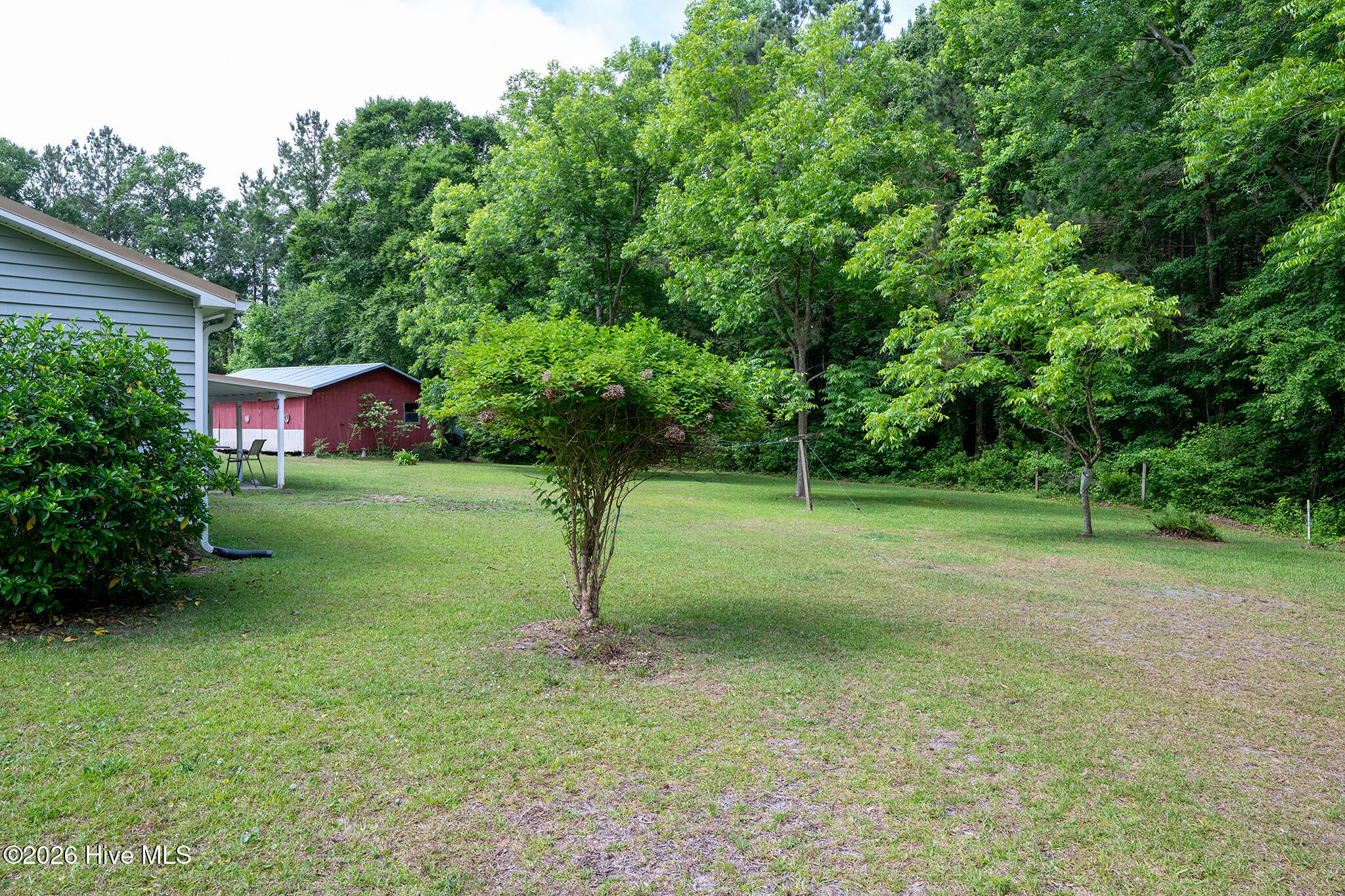 5101 Sand Ridge Road New Bern, NC 28560 - Photo 39 of 48 Mature Landscaping