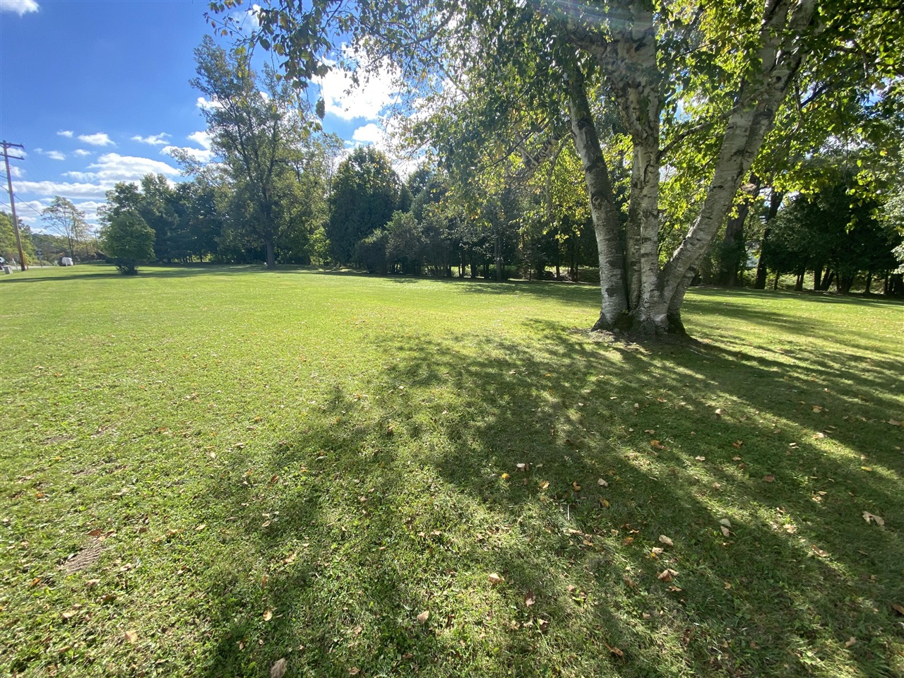 901 City Road Manchester, MI 48158 - Photo 2 of 3