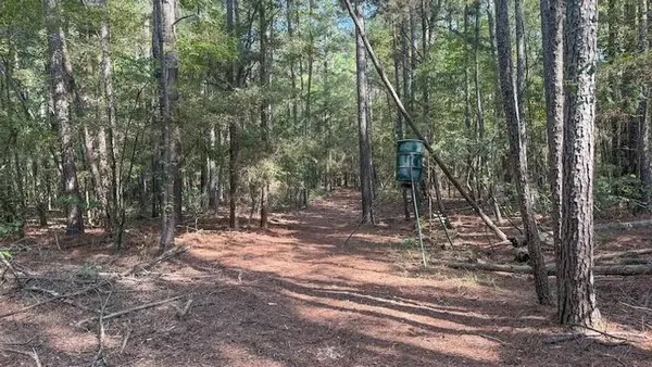 $385,000 | 0 Cr-3401, Avery, TX 75554