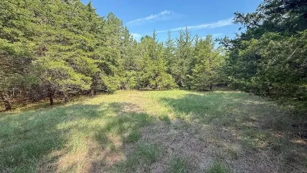 $385,000 | 0 Cr-3401, Avery, TX 75554