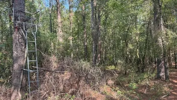 $385,000 | 0 Cr-3401, Avery, TX 75554