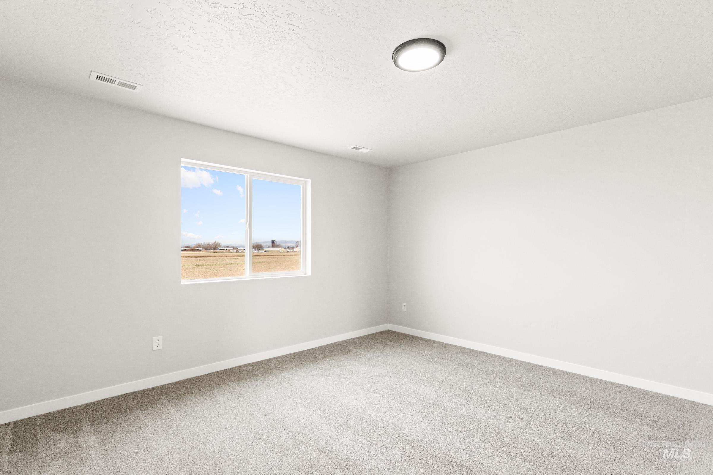 12830 Ropers Street Nampa, ID 83651 - Photo 11 of 18 Neutral wall tones, gray carpeting, and a flush-mount ceiling light