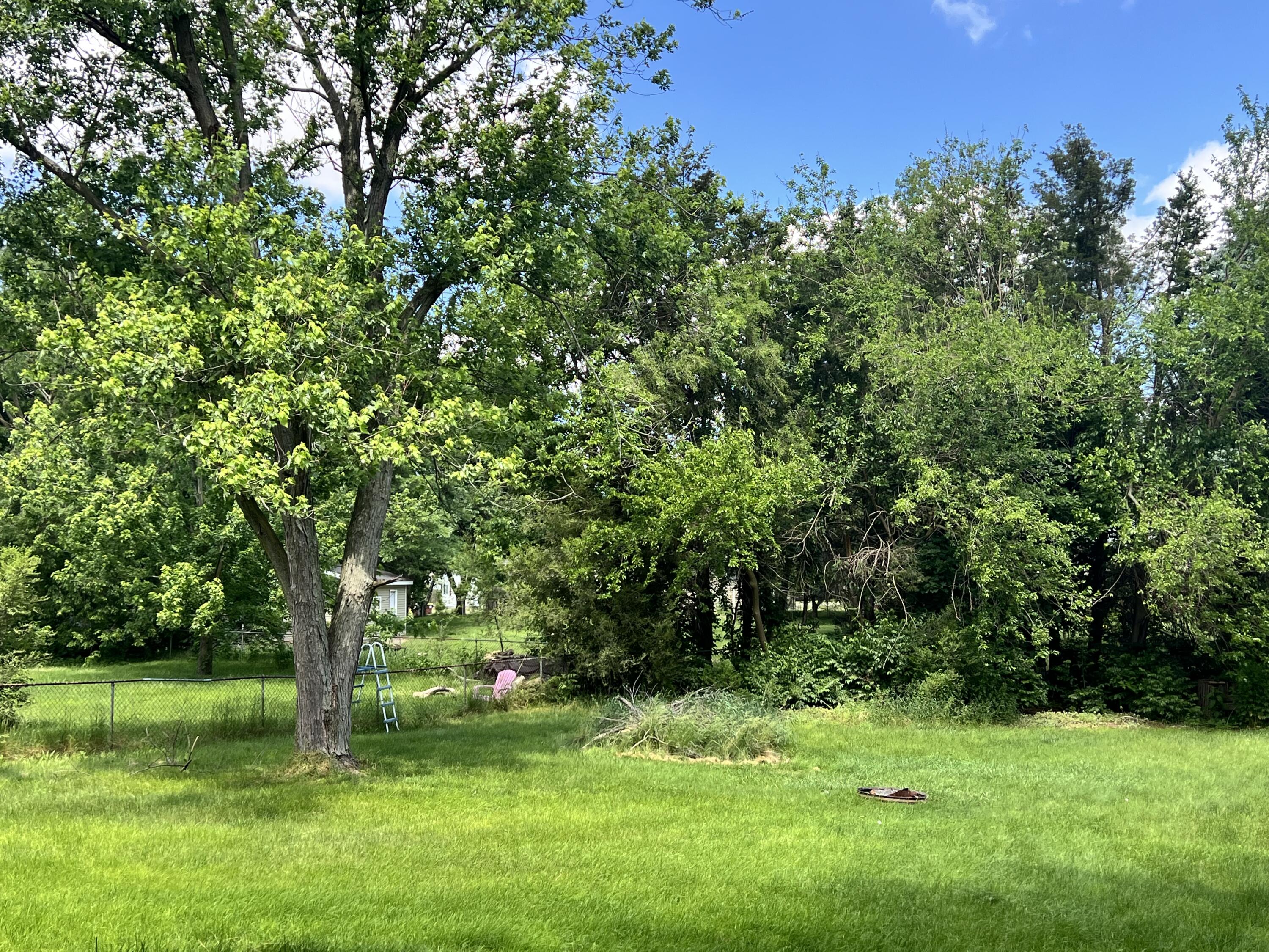 3806 Gady Road Tecumseh, MI 49286 - Photo 28 of 31 Backyard