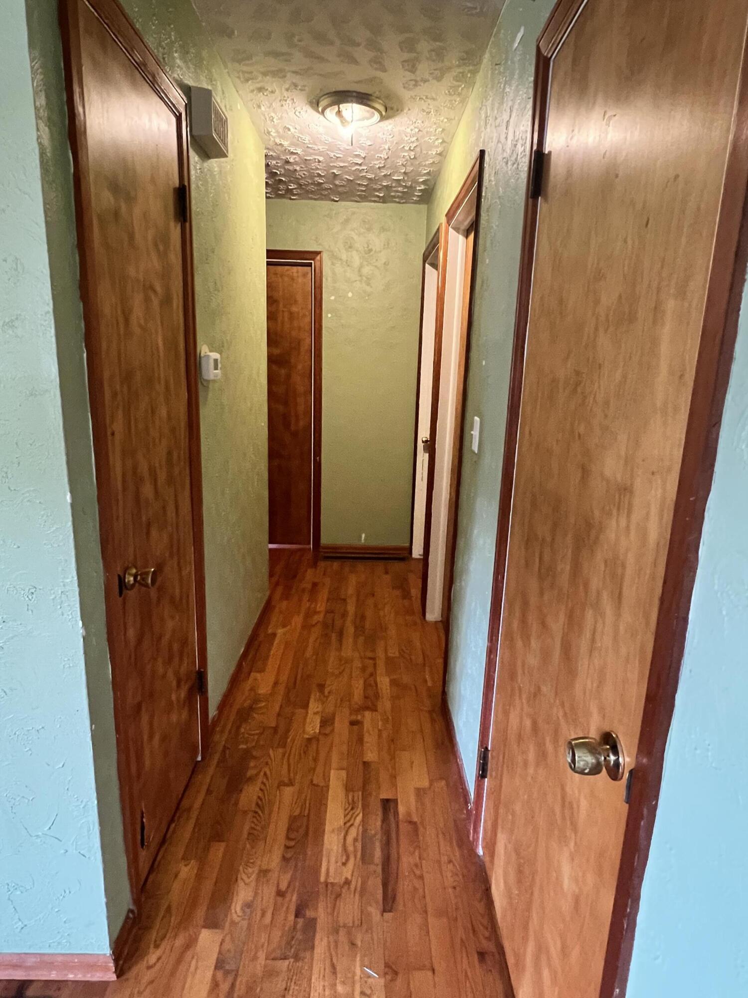 3806 Gady Road Tecumseh, MI 49286 - Photo 7 of 31 Hallway