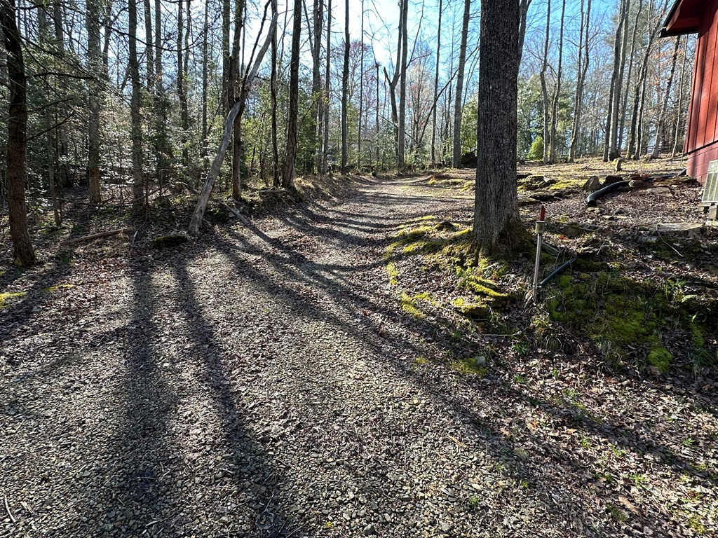 140 Old Whitener Road Murphy, NC 28906 - Photo 40 of 60