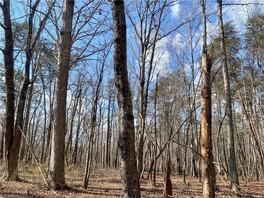1725 Shiloh Church Road Rural Hall, NC 27045 - Photo 38 of 50