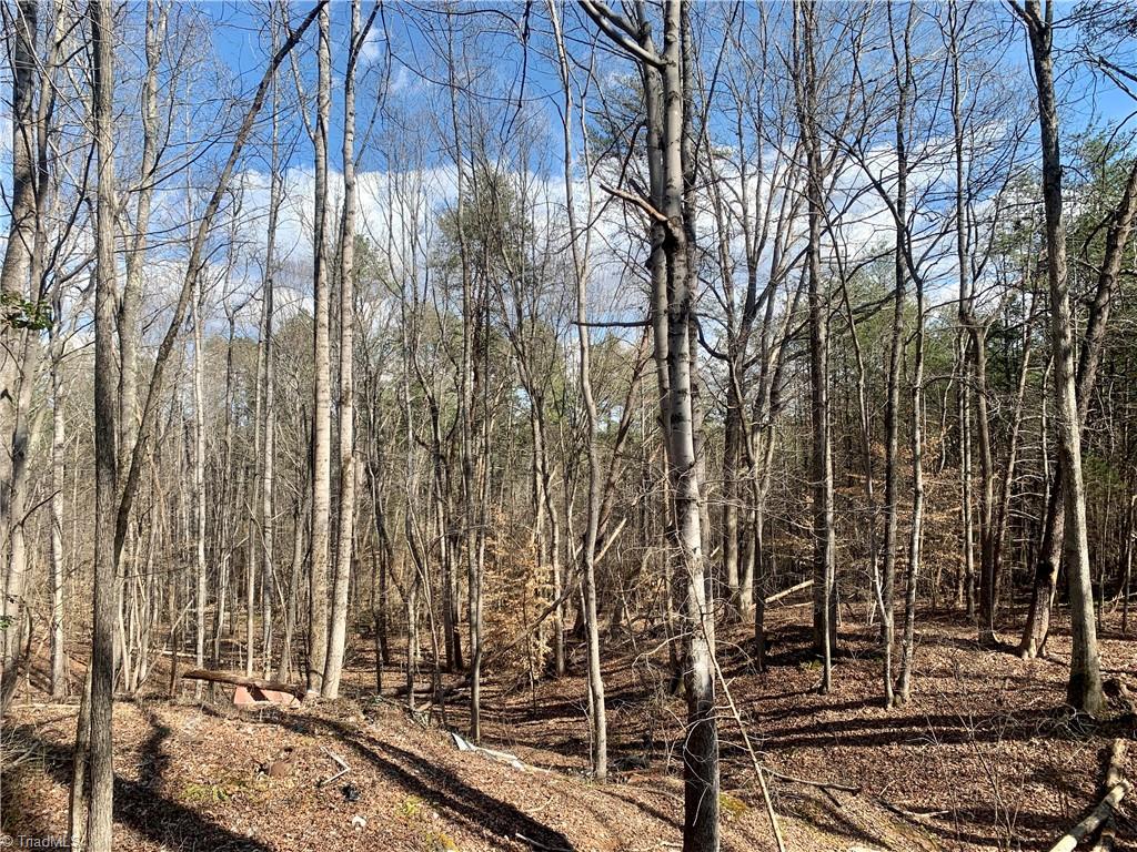 1725 Shiloh Church Road Rural Hall, NC 27045 - Photo 43 of 50