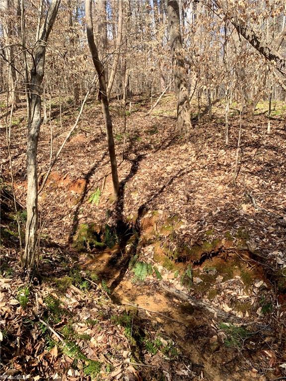 1725 Shiloh Church Road Rural Hall, NC 27045 - Photo 45 of 50