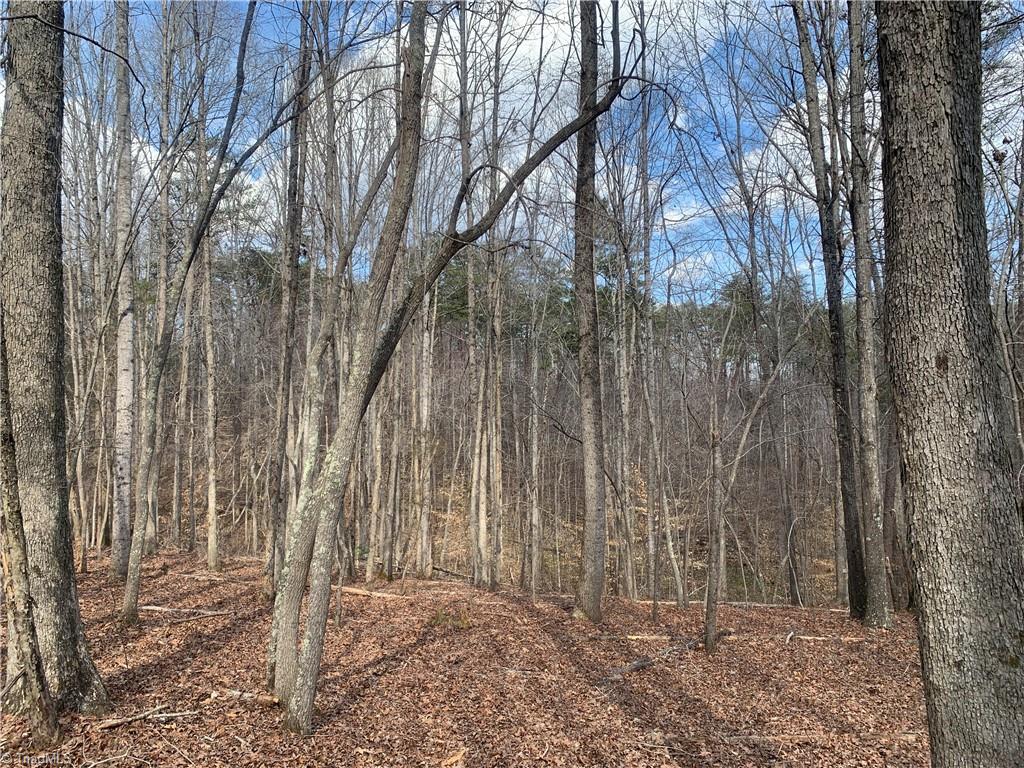 1725 Shiloh Church Road Rural Hall, NC 27045 - Photo 47 of 50