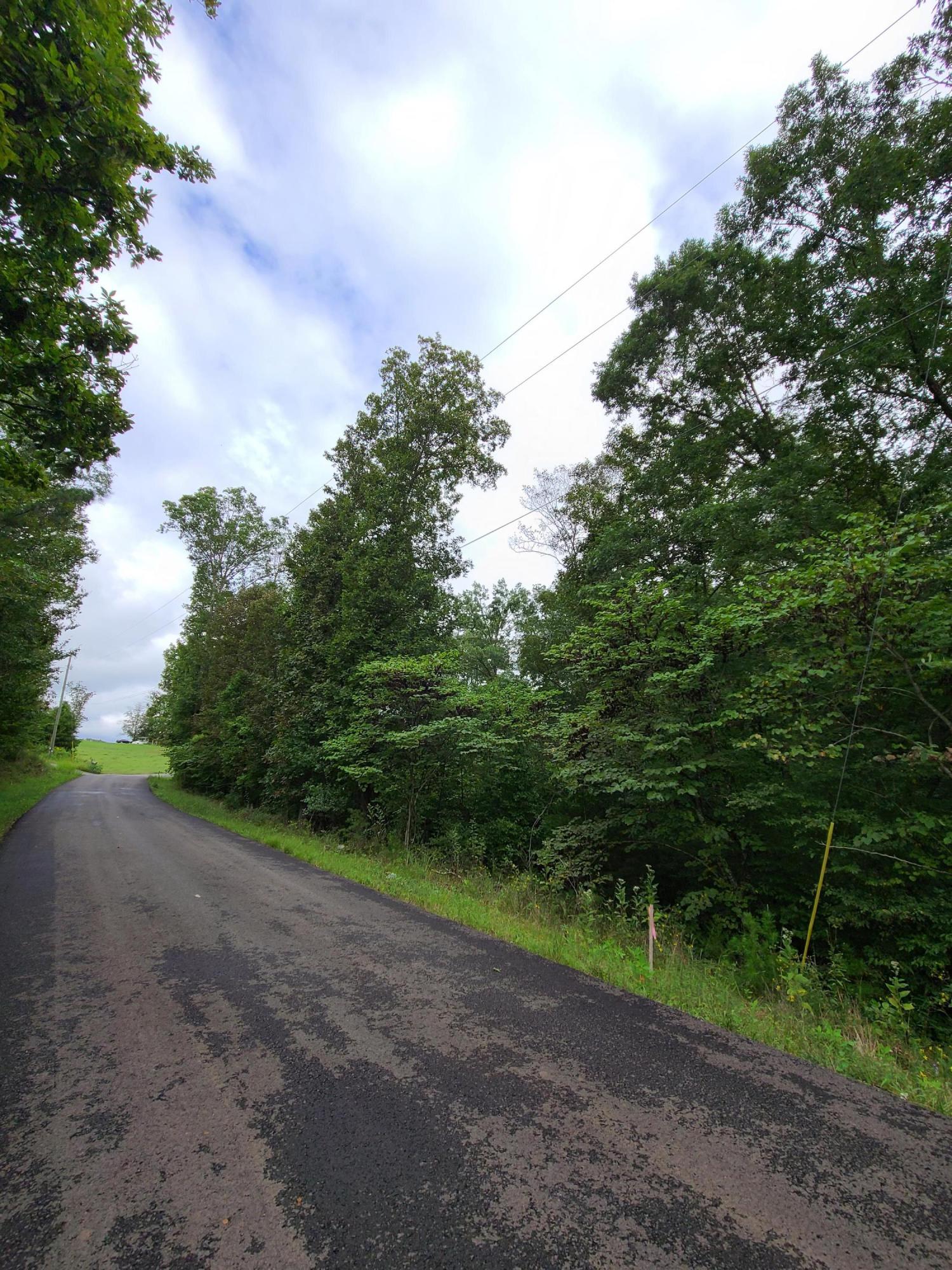 4.26-acre Fork Road Greenback, TN 37742 - Photo 13 of 40 20200917_145436
