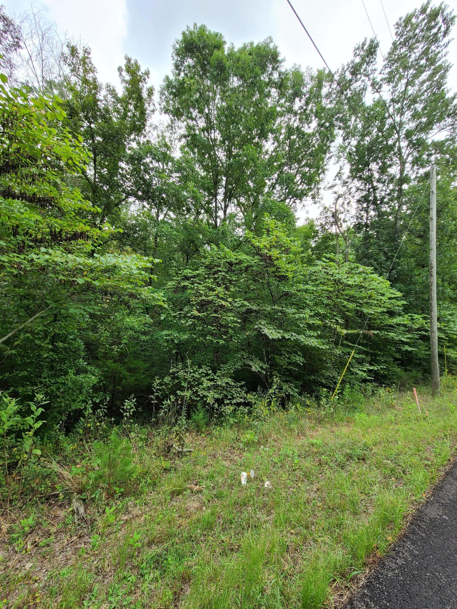 4.26-acre Fork Road Greenback, TN 37742 - Photo 14 of 40 20200917_145406