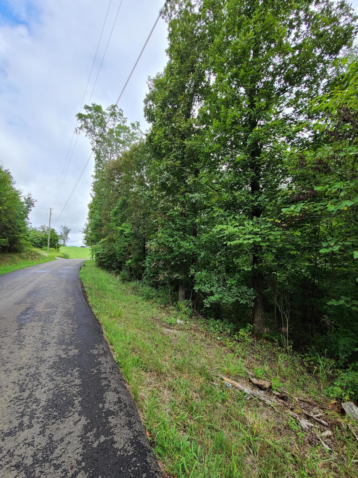 4.26-acre Fork Road Greenback, TN 37742 - Photo 15 of 40 20200917_145359
