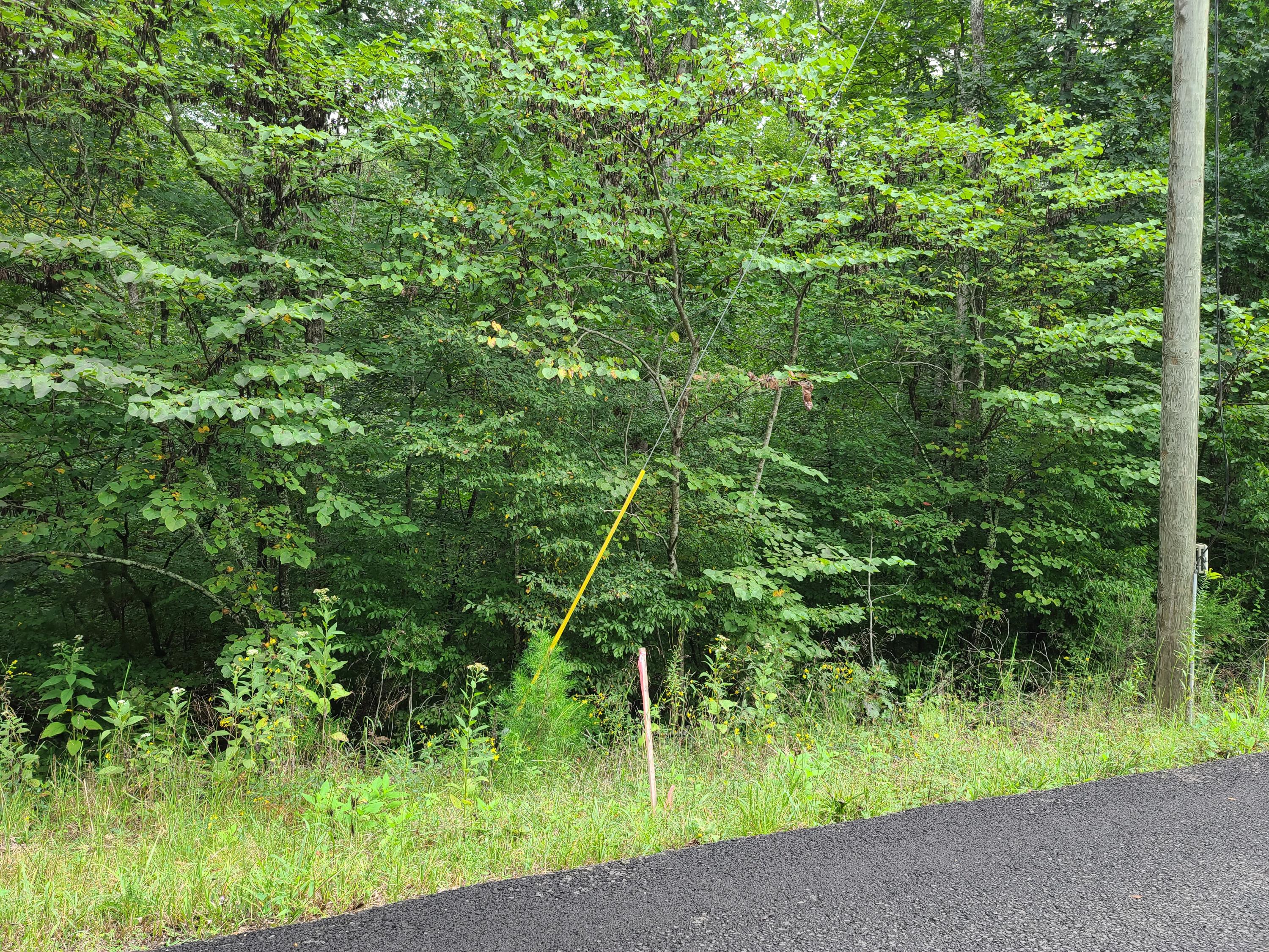 4.26-acre Fork Road Greenback, TN 37742 - Photo 35 of 40 20200917_143935