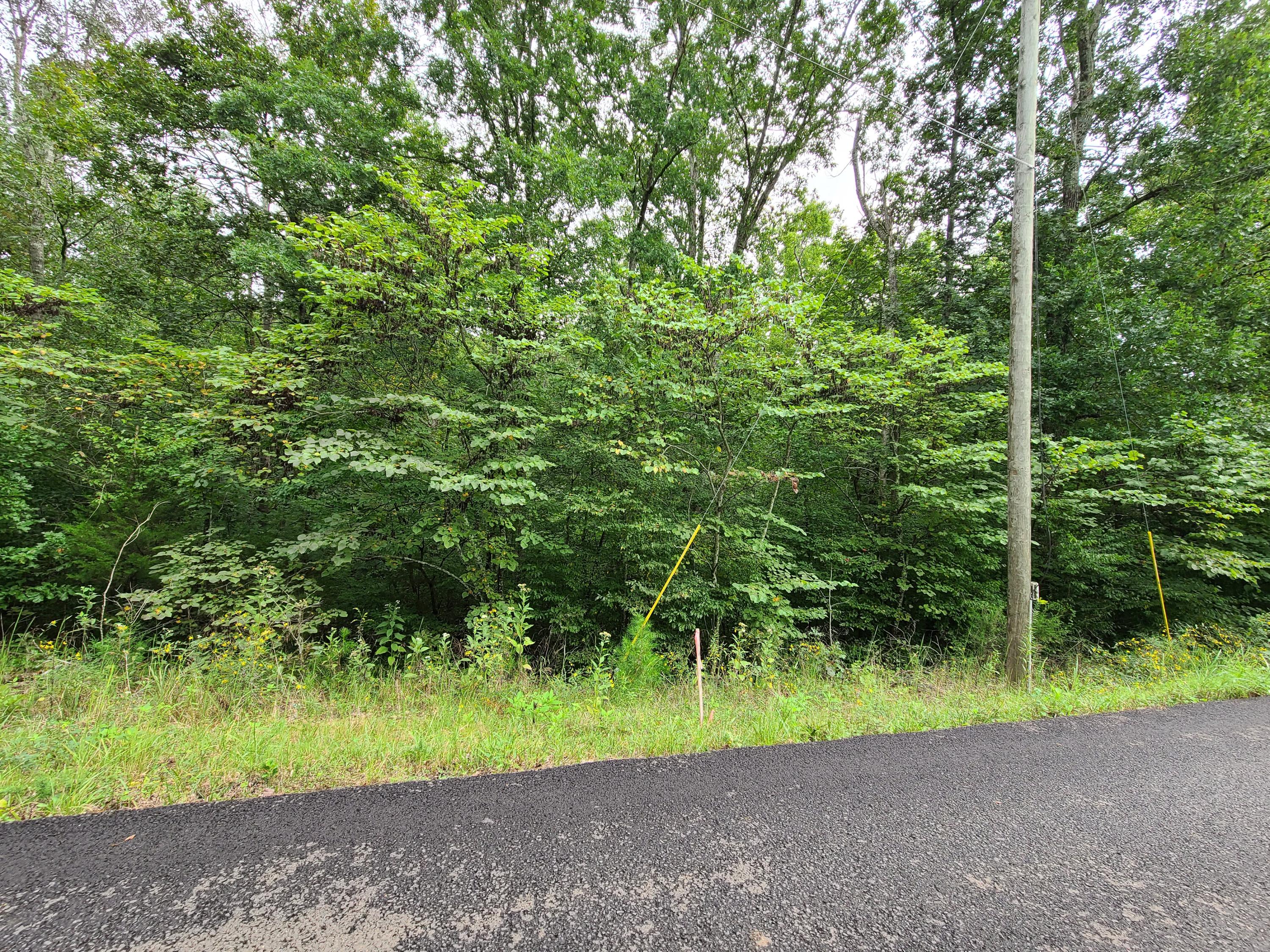 4.26-acre Fork Road Greenback, TN 37742 - Photo 36 of 40 20200917_143929
