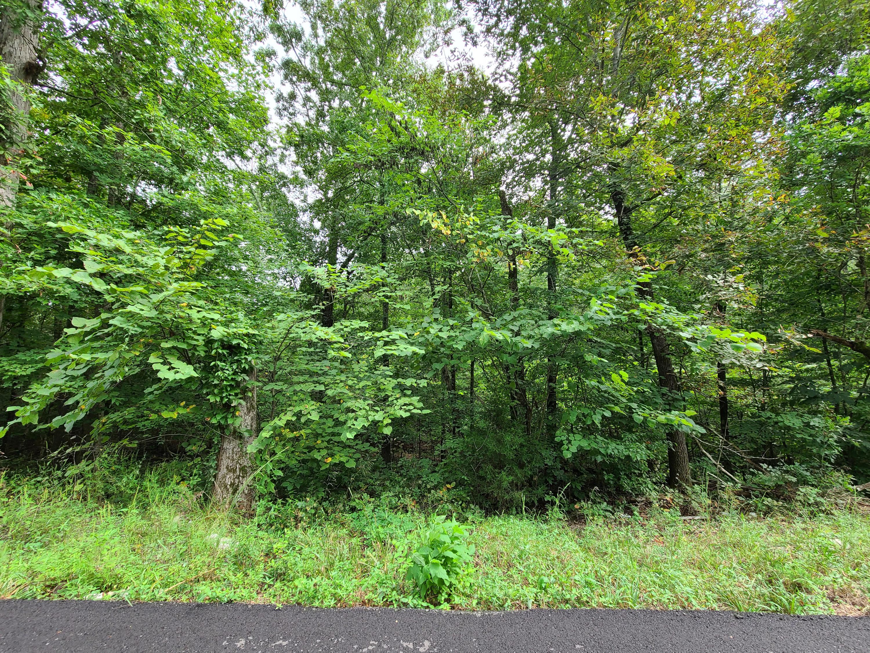 4.26-acre Fork Road Greenback, TN 37742 - Photo 37 of 40 20200917_143851
