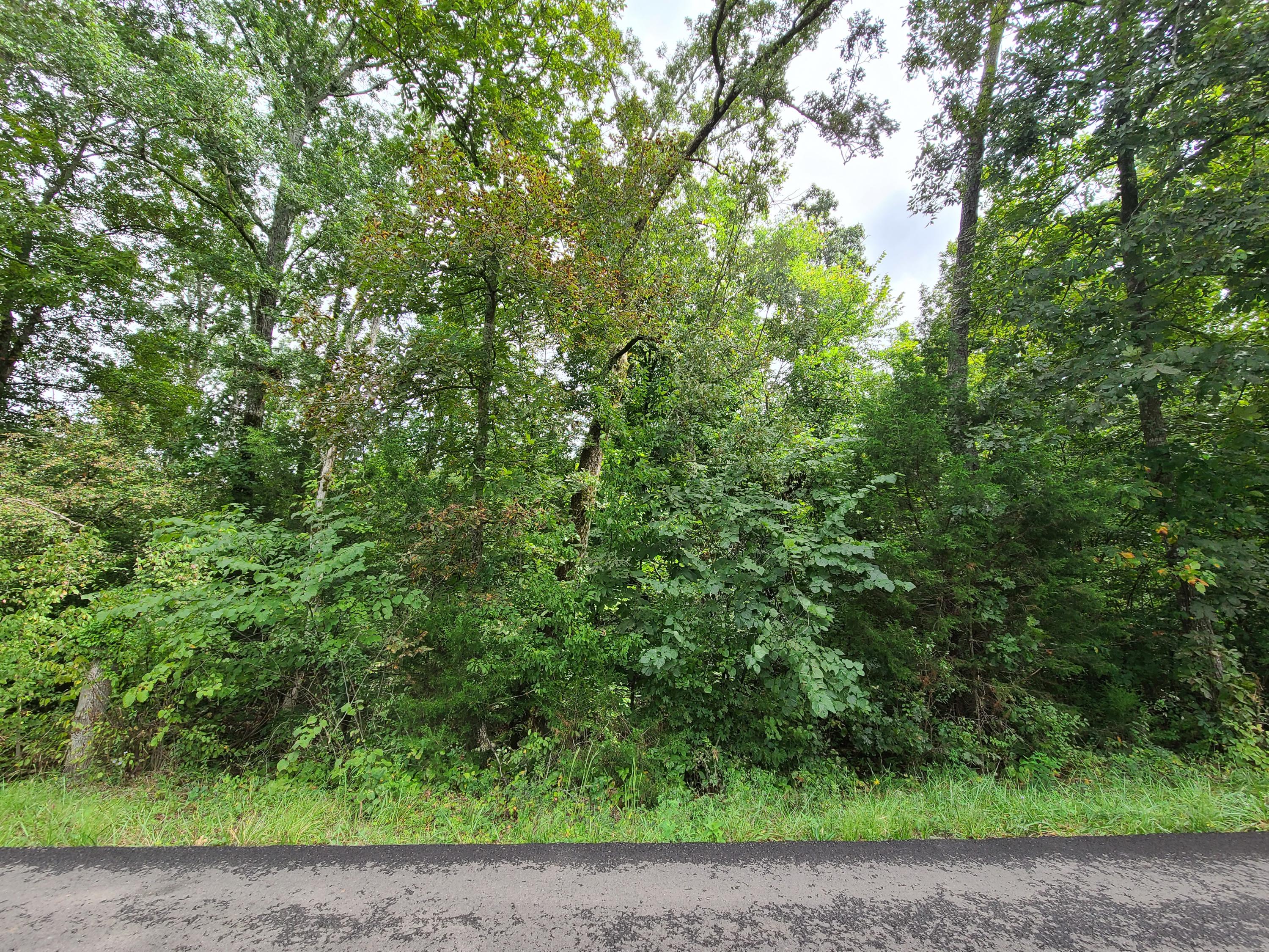4.26-acre Fork Road Greenback, TN 37742 - Photo 38 of 40 20200917_143836