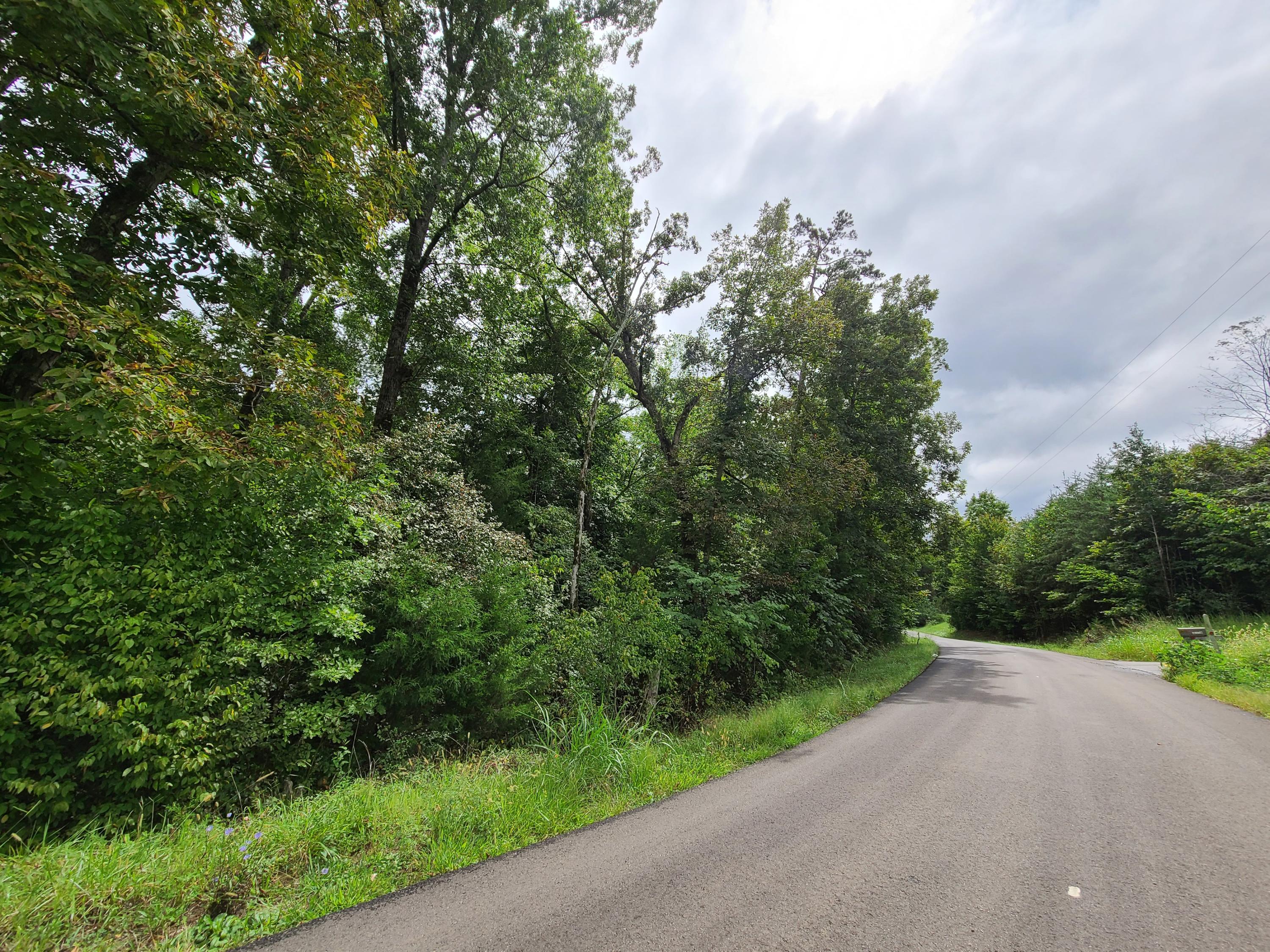 4.26-acre Fork Road Greenback, TN 37742 - Photo 39 of 40 20200917_143813