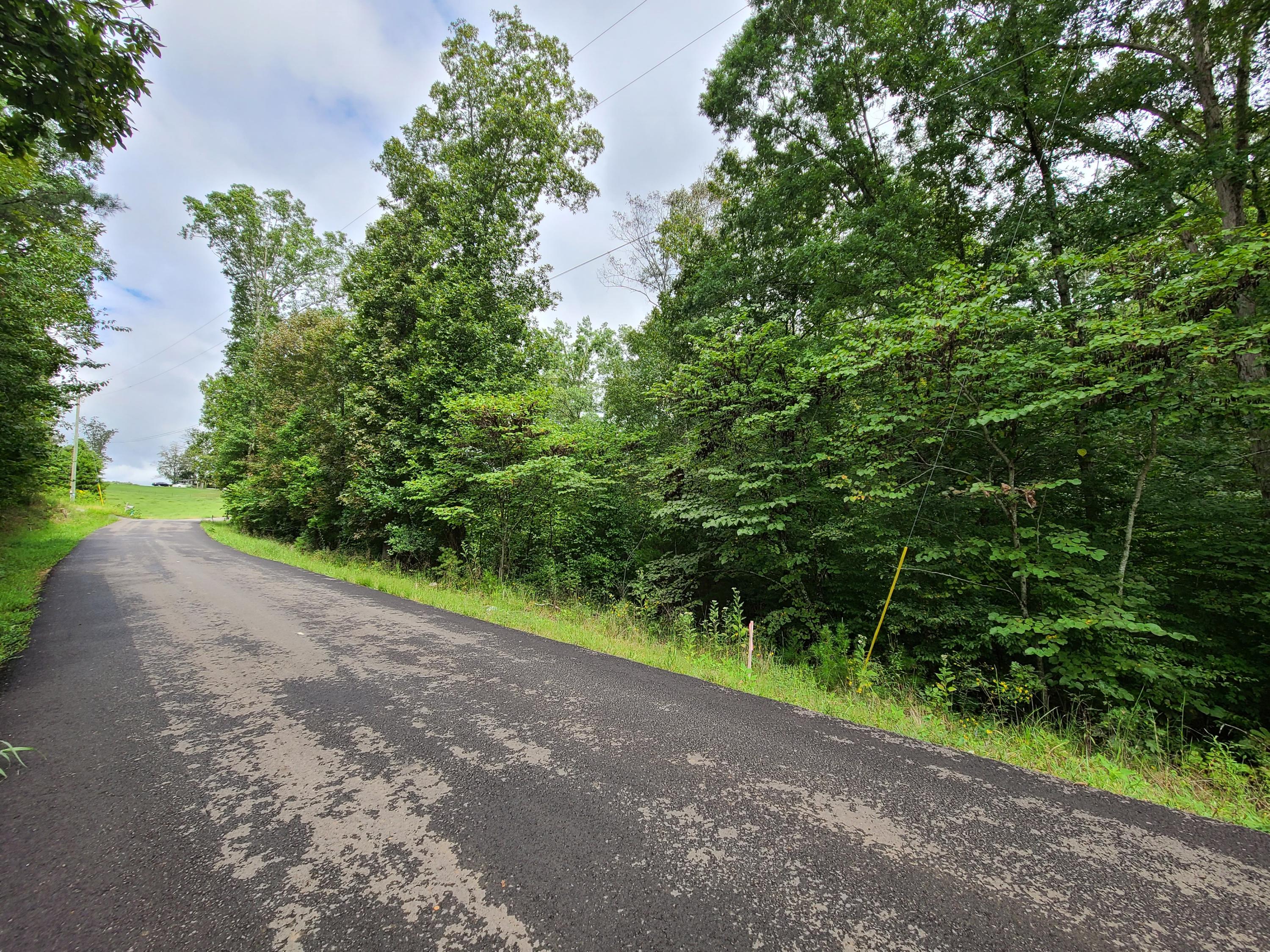 4.26-acre Fork Road Greenback, TN 37742 - Photo 9 of 40 20200917_144257
