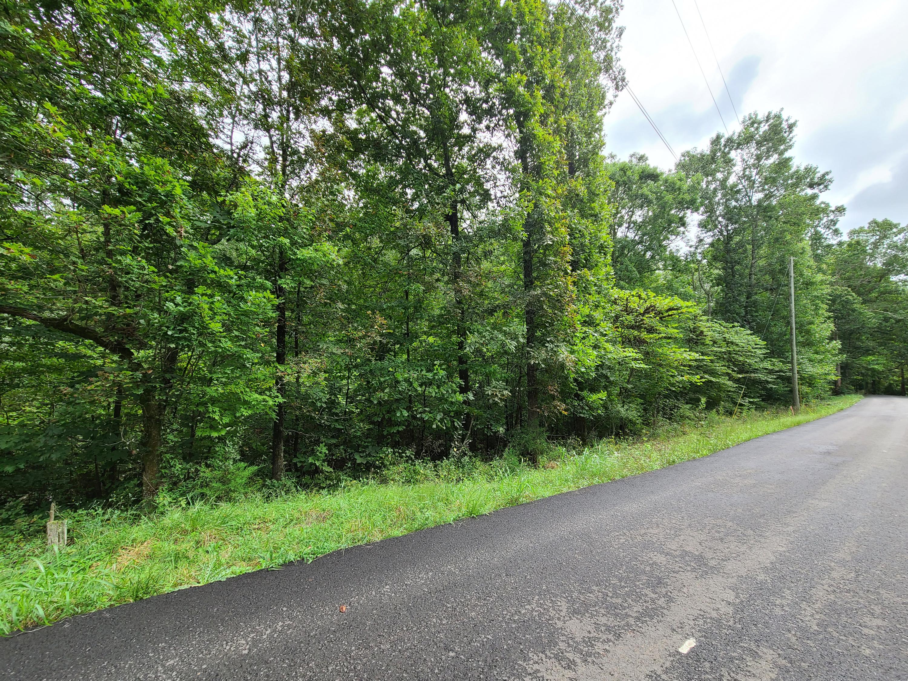 4.26-acre Fork Road Greenback, TN 37742 - Photo 10 of 40 20200917_143906