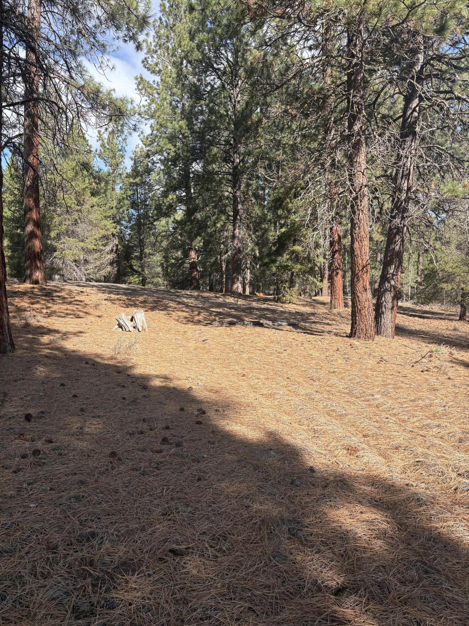 0 Pine Ridge Loop, Unit LOT 5 Chiloquin, OR 97624 - Photo 5 of 8 Lot