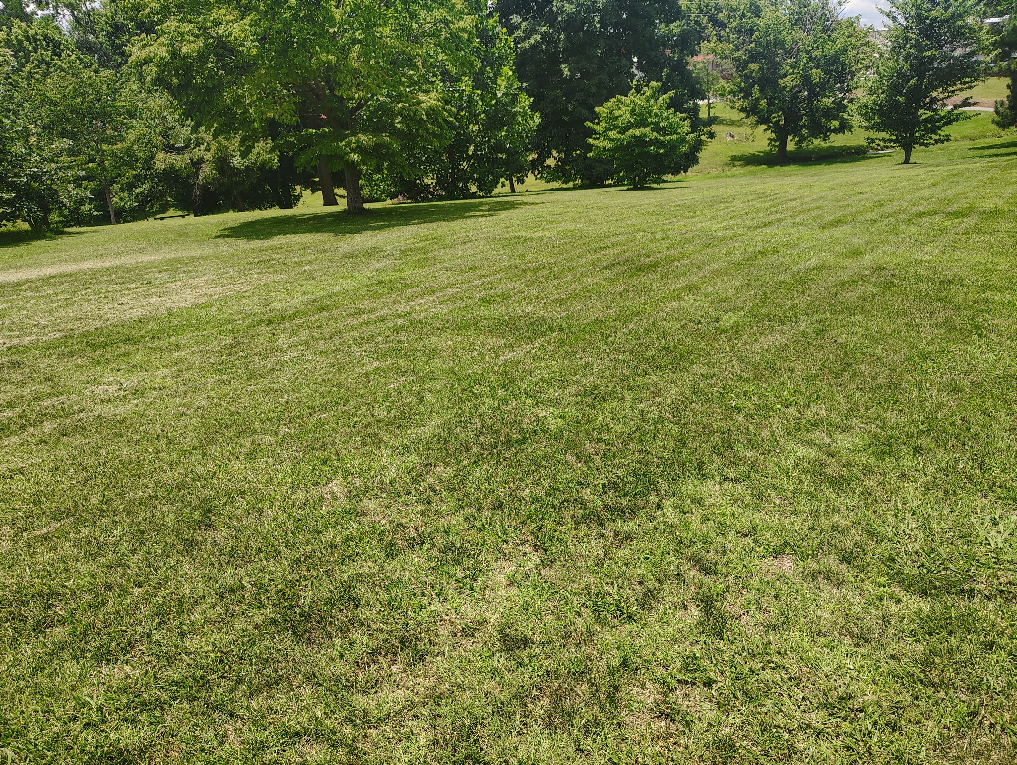 0 Short Street Lafayette, TN 37083 - Photo 1 of 8