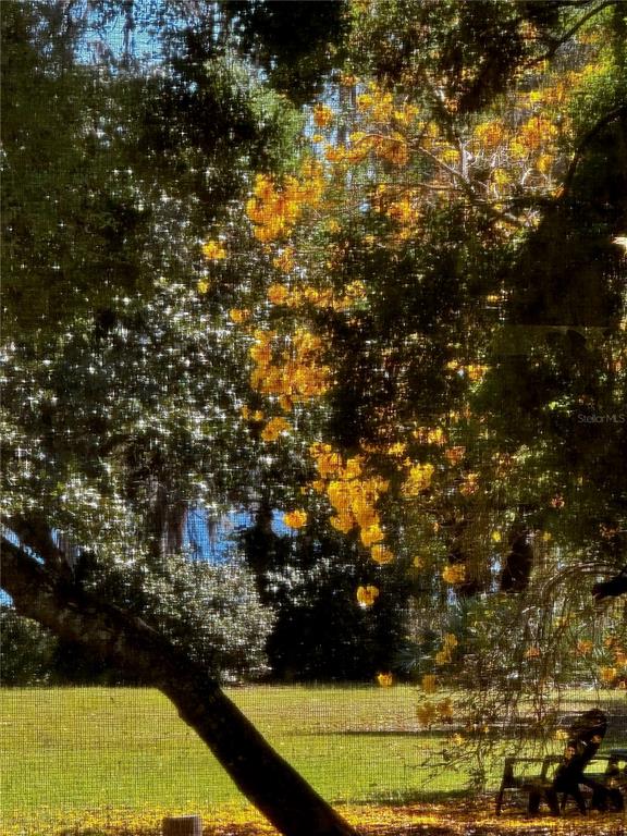 6037 Lake Erie Road Groveland, FL 34736 - Photo 51 of 67