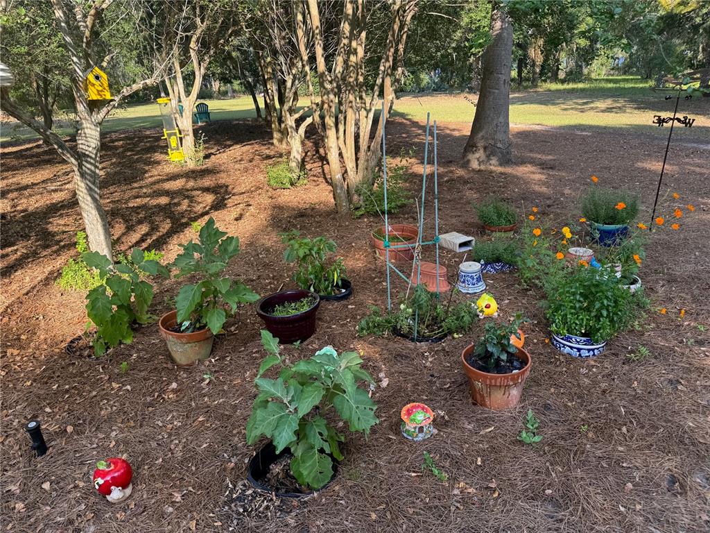 6037 Lake Erie Road Groveland, FL 34736 - Photo 54 of 67 a bunch of flowers are in a garden