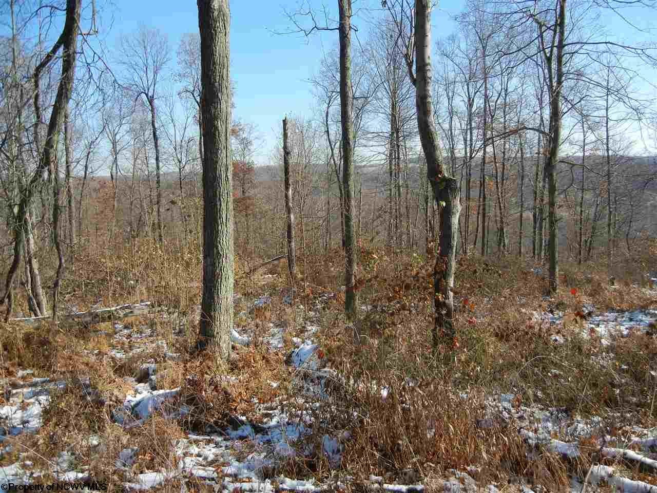 2101 Halleck Road Independence, WV 26374 - Photo 15 of 19 Gallery Image 15