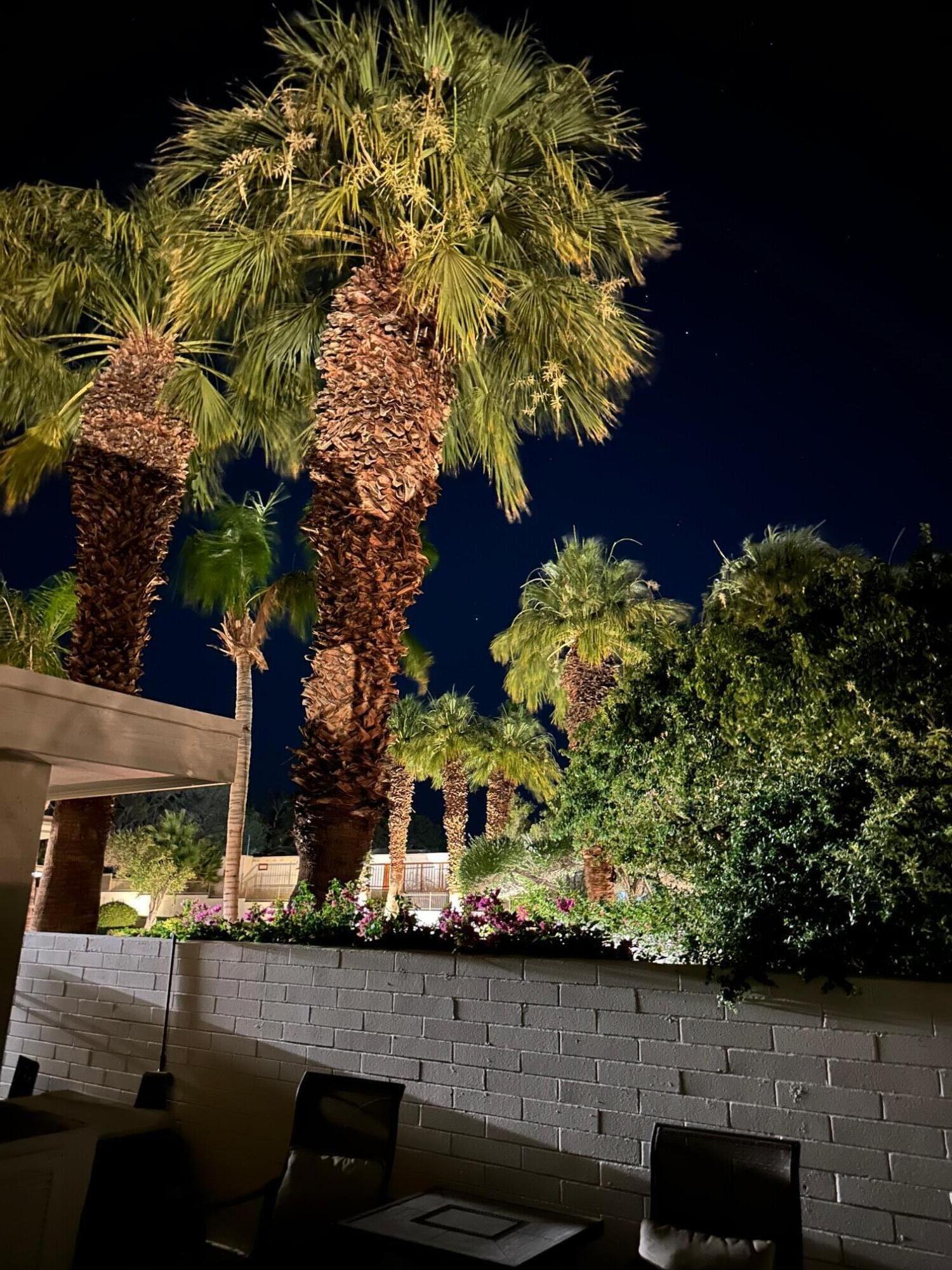 130 West Racquet Club Road, Unit 309 Palm Springs, CA 92262 - Photo 16 of 23 IMG_0595