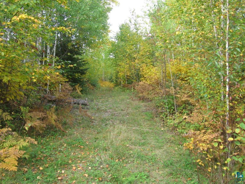 1687 Golden Ridge Trail Ely, MN 55731 - Photo 8 of 28 Gallery Image 8
