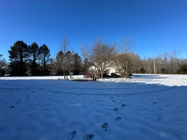 a view of yard with car parked in front of house