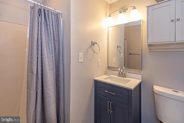 a bathroom with a sink a toilet and shower curtain