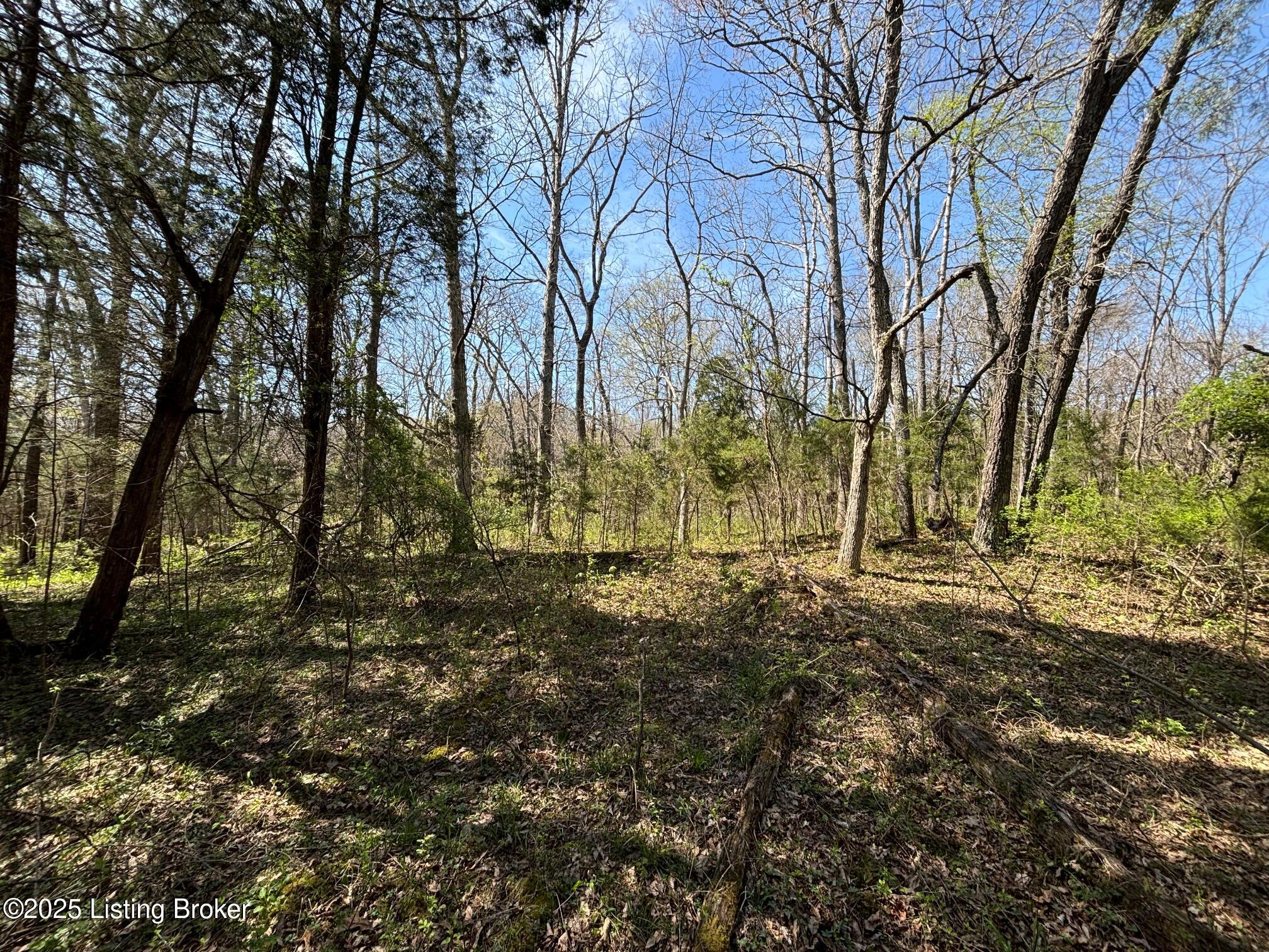 523 Roach Road Webster, KY 40176 - Photo 8 of 22 IMG_2595