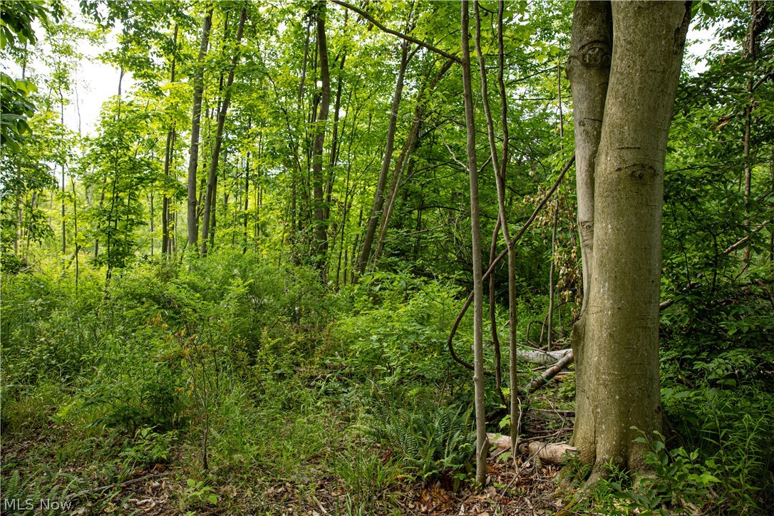 1010 Us Route 6 Rome, OH 44085 - Photo 27 of 37