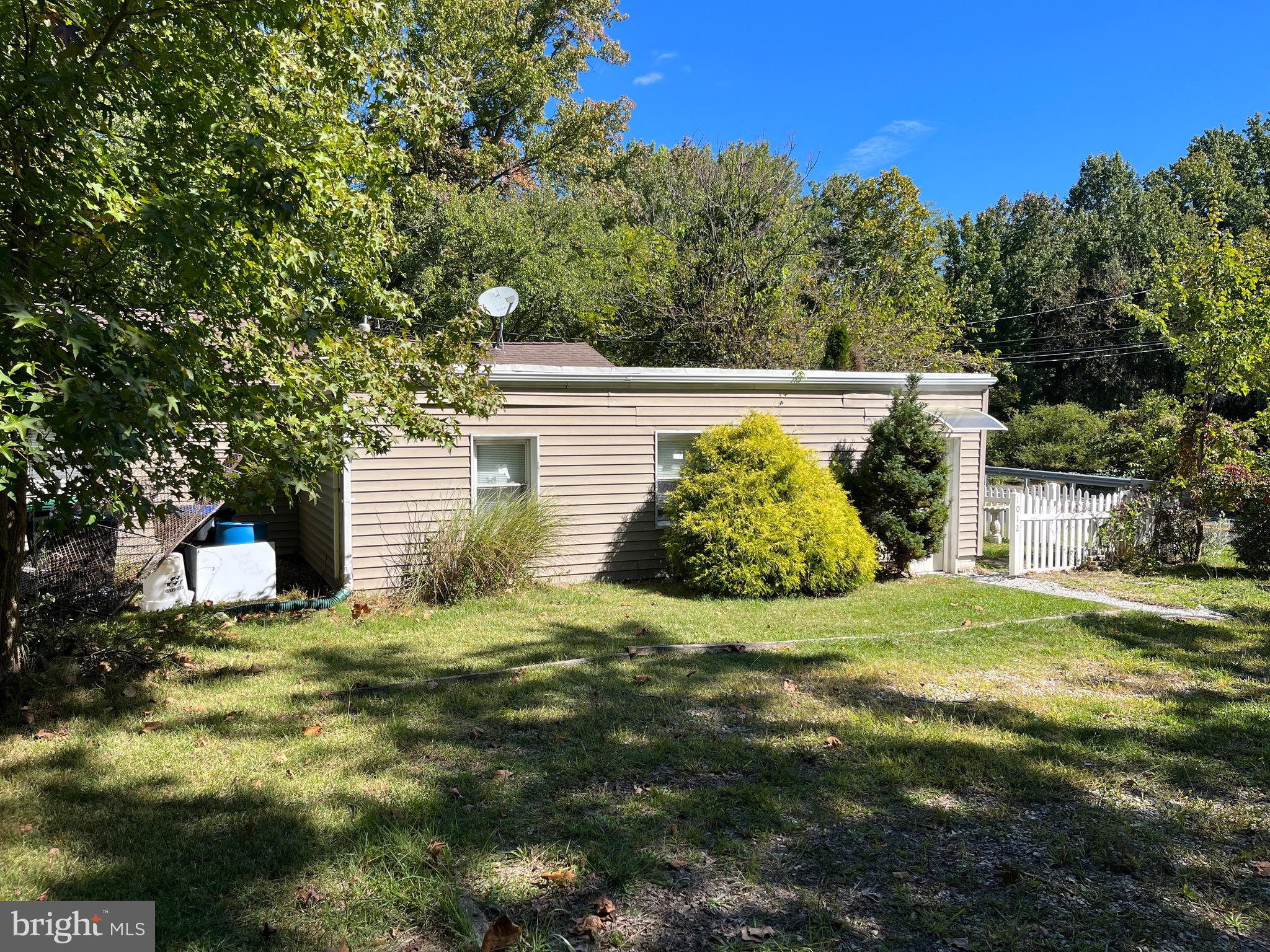 Side yard near driveway.