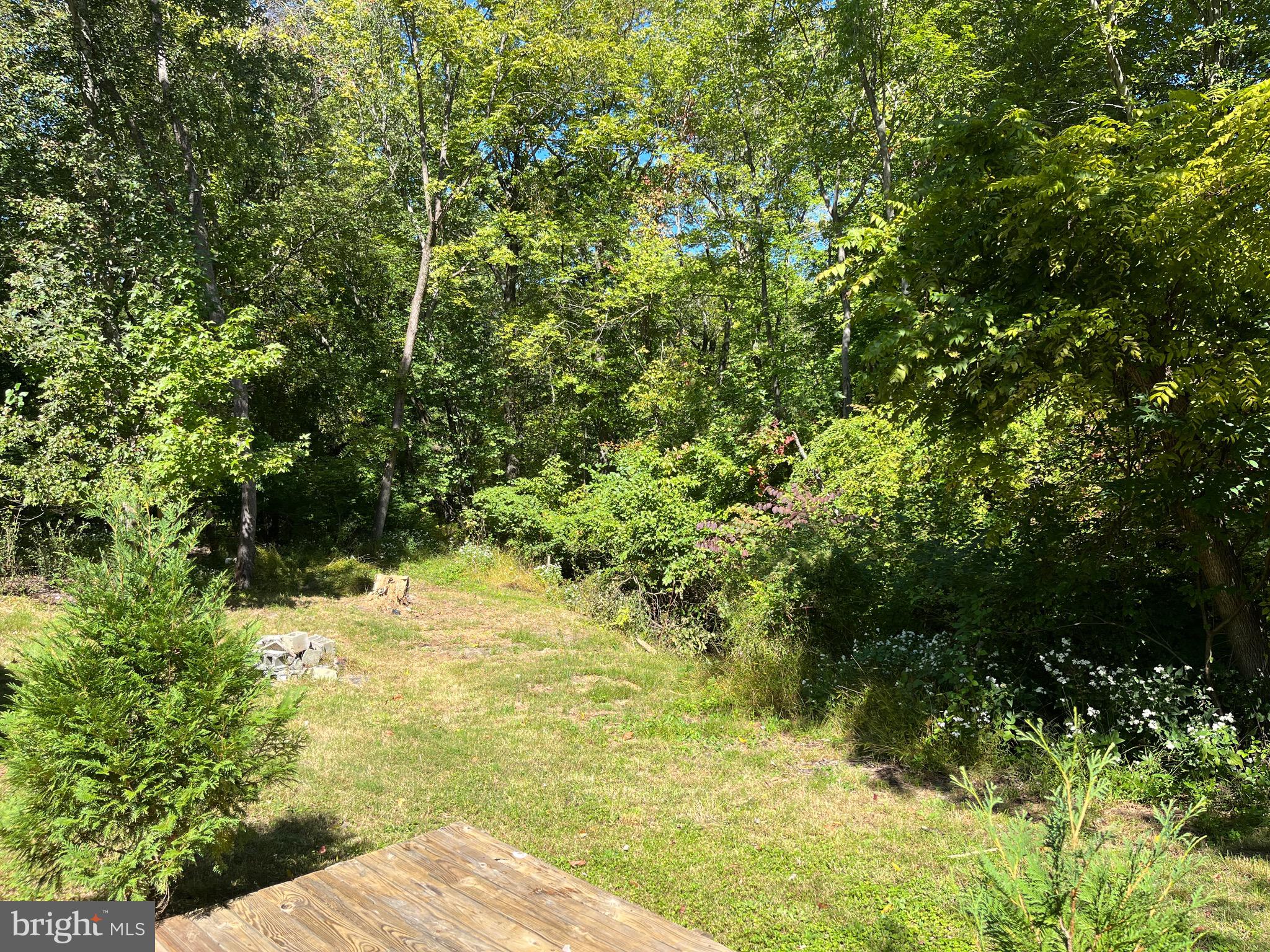 1012 Norcross Road Lindenwold, NJ 08021 - Photo 31 of 34 Side yard into backyard.