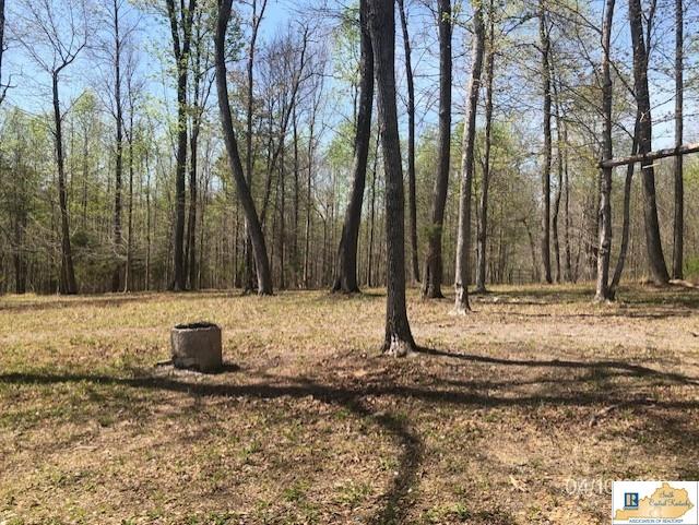 1902 Cotton Hollow Road Red Boiling Springs, TN 37150 - Photo 17 of 17 Gallery Image 17