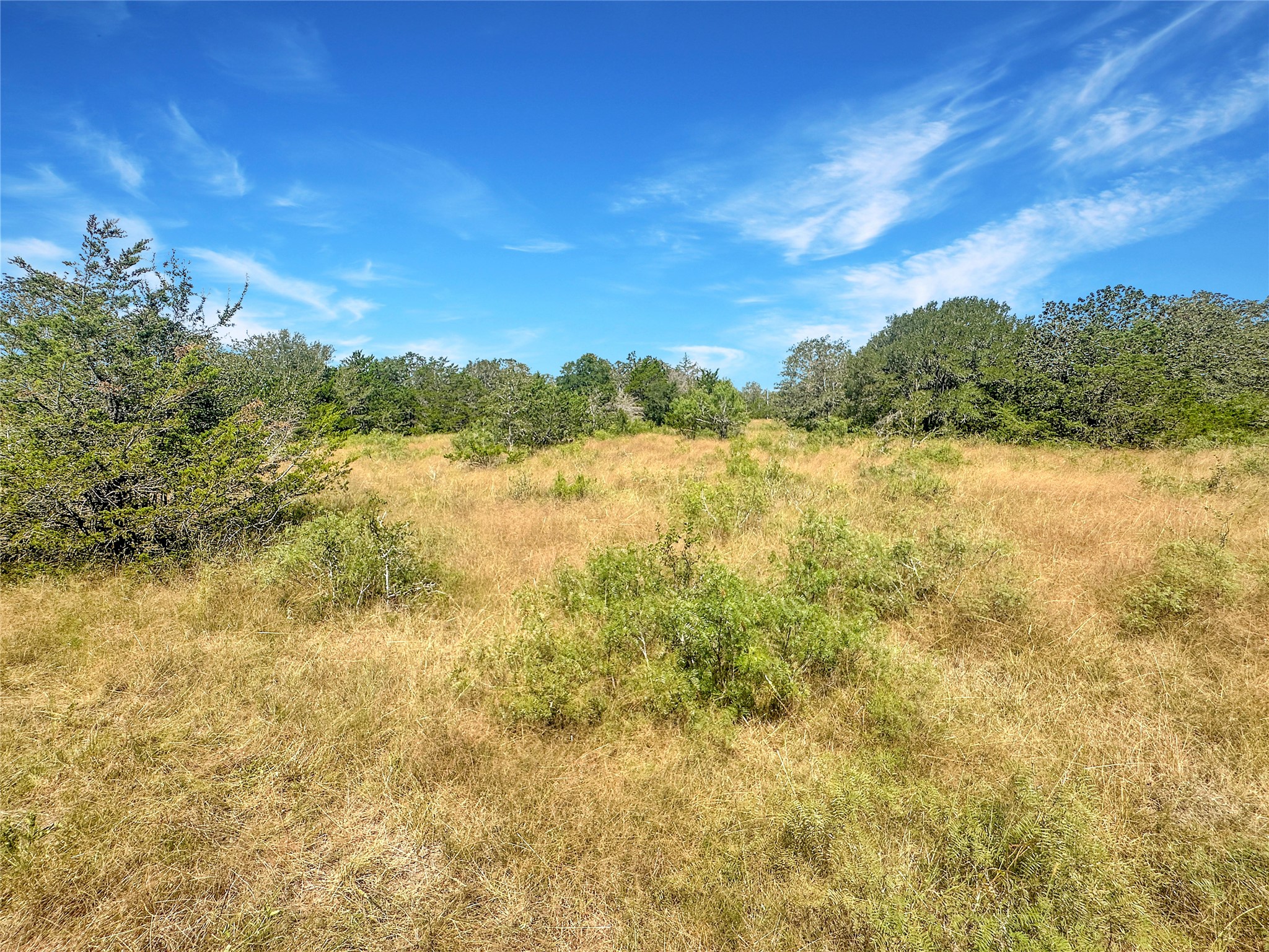 1345 Davis Road Muldoon, TX 78949 - Photo 16 of 25 a view of an ocean from a mountain