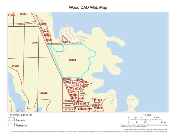 a close up of a vase with flowers