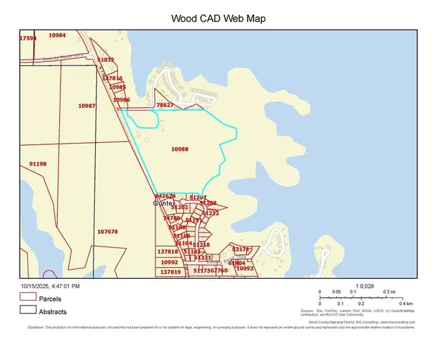 a close up of a vase with flowers