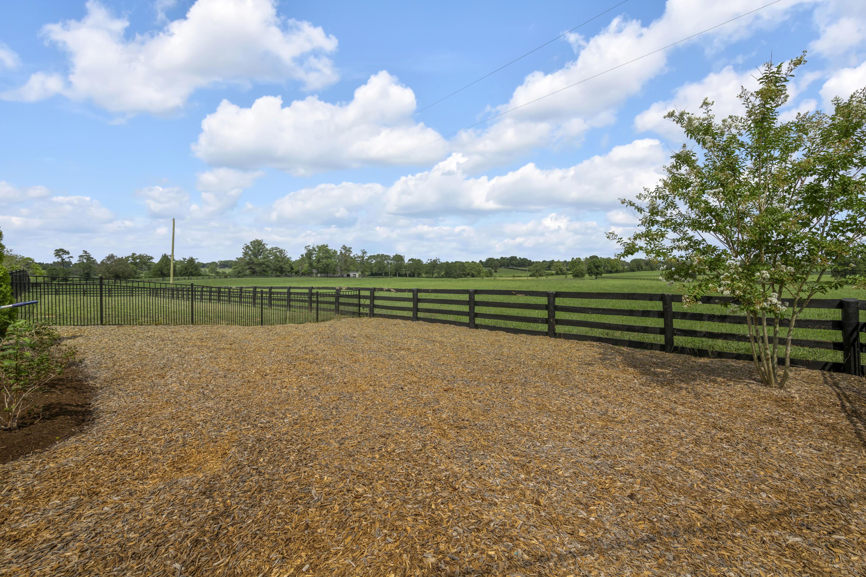 2611 Old Lemons Mill Road Lexington, KY 40511 - Photo 79 of 83 TDB_8600
